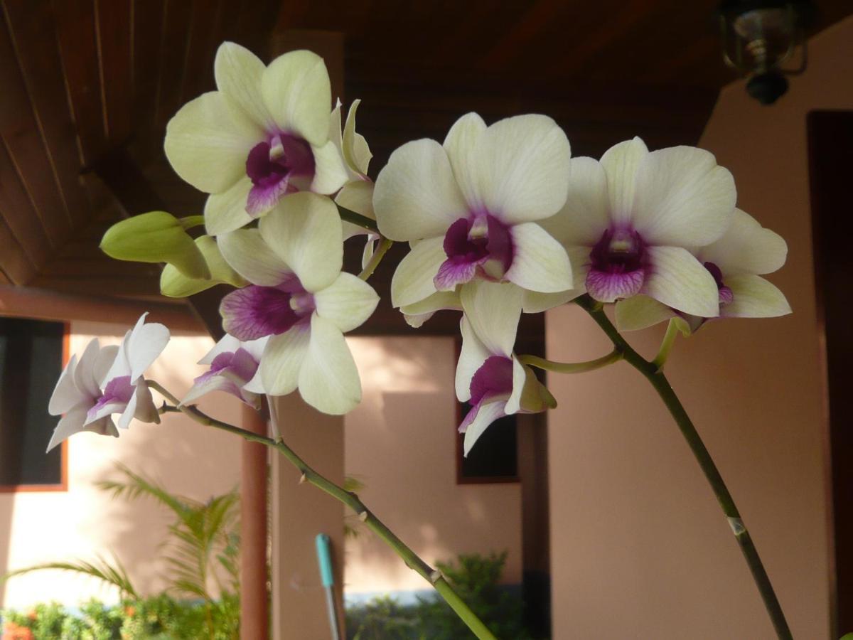 The Pace Phuket Boutique Resort Rawai Bagian luar foto